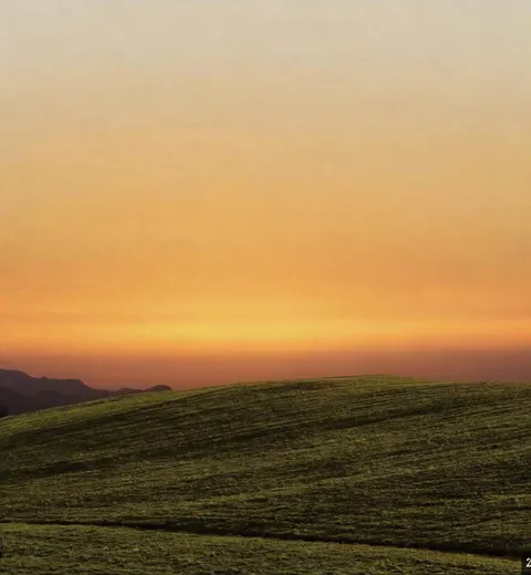 Sunset landscape after the AI image object remover removed the tree and restored the grass and sky